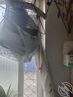 骚货熟女母猪的内衣内裤，反图0