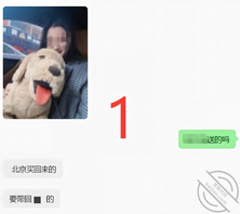 【中场休息】我尝试过表白小姨子，或者说撩骚她。0