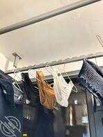 原创二，八个月过去了，来给大家汇报一下关于攻克姐姐的进度吧！2