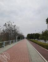 福利15.我想要的高潮.0