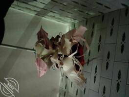 少妇大姨子的短靴和长靴1