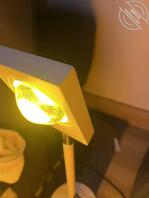 普通，预告今天凌晨4点家里一炮，下午民宿两小时两炮。马上剪辑。1