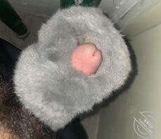 扫楼打胶毛毛拖鞋舒服好爽1