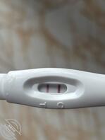 我妈妈好像怀孕了