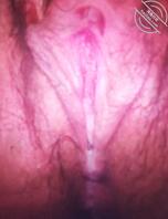 内蒙女宝宝可约1