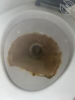 加料 求大神给给建议