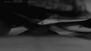 骚妻从口交零基础到爆舔鸡巴