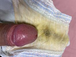 有机会拿到老母的原味内裤0