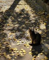 邢台胖子想做爱有没有女菩萨拯救一下的1