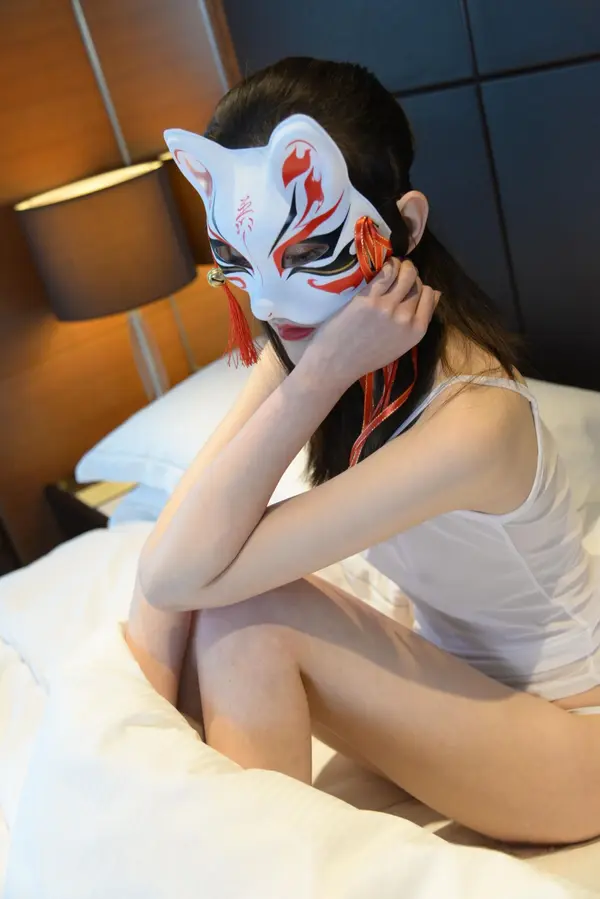 狐狸1