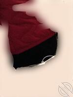 （原创）贪恋伯母1