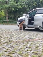 路边抽烟，这美女是故意勾引我吗？0