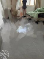 想上妹妹0
