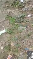 少妇寂寞，户外车震＋露出爆操她的骚逼