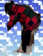 一个人过年，想老妈0