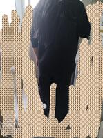 寄宿嫂子对我好