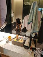 家有淫妻性福操骚逼。0