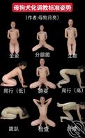 有挑战母狗月亮的犬调吗？谁还有这种图鉴，评论区分享一下0