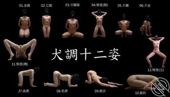 有挑战母狗月亮的犬调吗？谁还有这种图鉴，评论区分享一下2