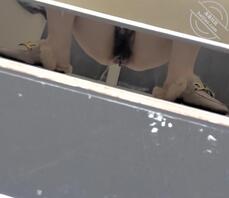 厕拍两个大学生2