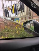门口偷拍内内