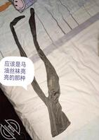 后妈绝对是鸡吧套子,我爸肯定是活王八2