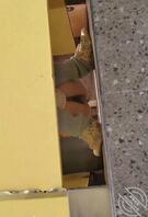 厕拍收藏极品小姐姐1