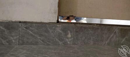 第1次偷拍太紧张了，手机像素有点低，不是特别清楚