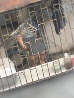 偷拍少妇露出