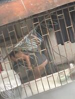 偷拍少妇露出2