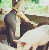 妈妈与哥哥的往事(疯狂的欲望)