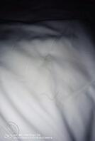午休继续被肏0
