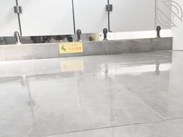 都嘎嘎好看，下次争取拍脸1