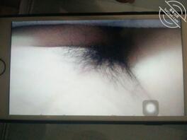 上海交流绿母
