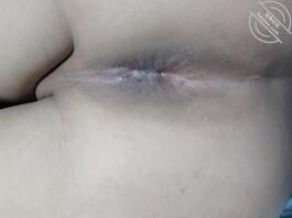 只有菊花没有小鸡0