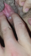 淫妻找单不要嘴炮