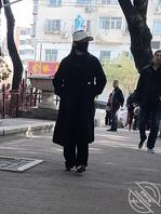 公园老头乐2