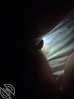 女儿打电话叫我去射她 说她男友要来了