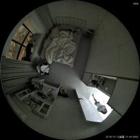 原创，第5贴，我的女儿，周五周末的会见和前妻的到来