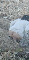 偷拍对象哥哥的女朋友路边撒尿，还有偷拍的骚母狗洗澡1