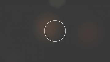 极品女友  后入