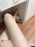 自己就谈过一个对象，最近压力很大，可以甜可以御姐 只希望能聊一个好男生！0