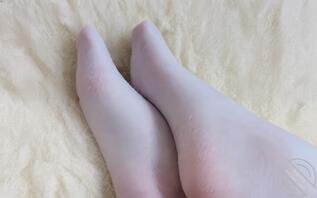小狗私拍