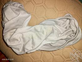 恋母，妈妈的骚内裤1