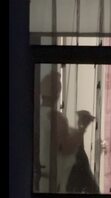 偷拍对面楼女邻居