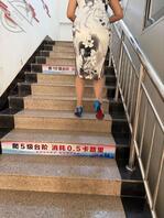 单位的A81