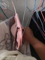 想干她的心思越来越强烈了0