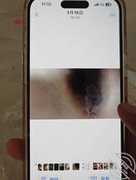 乱论丈母娘后续来啦2