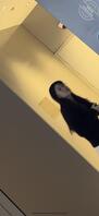 （原创）回归厕拍帖