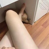 想艹婶婶 叔叔来了 晚上做爱整的我内心燥热睡不着觉
打破了我的计划0